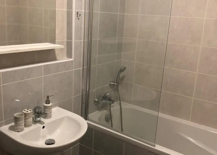 C. 1 شقة Třeboň